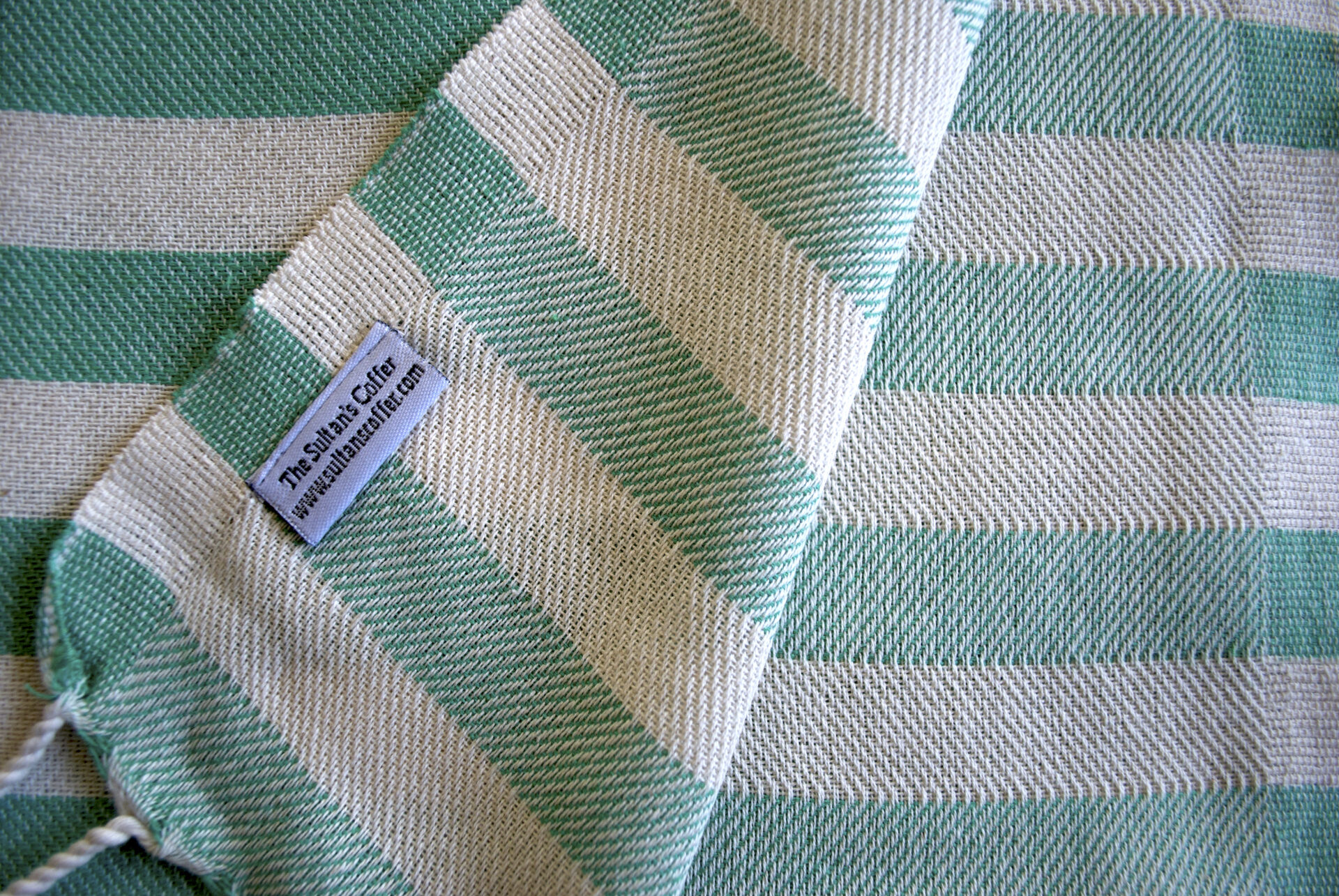 Zebra Zimrathon Pistachio Pic 9_0225 JPG